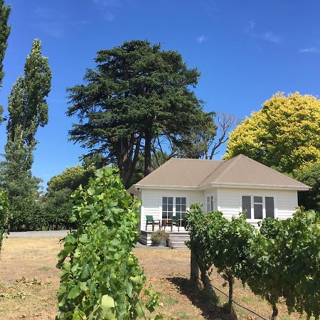 האבלוק נורת' Tuki Vineyard Cottage מראה חיצוני תמונה